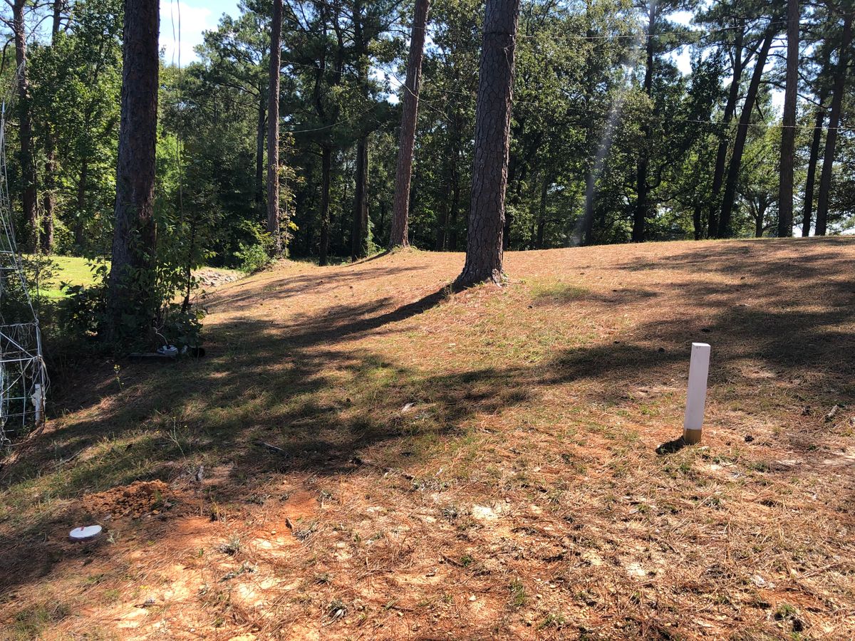 Hole 15