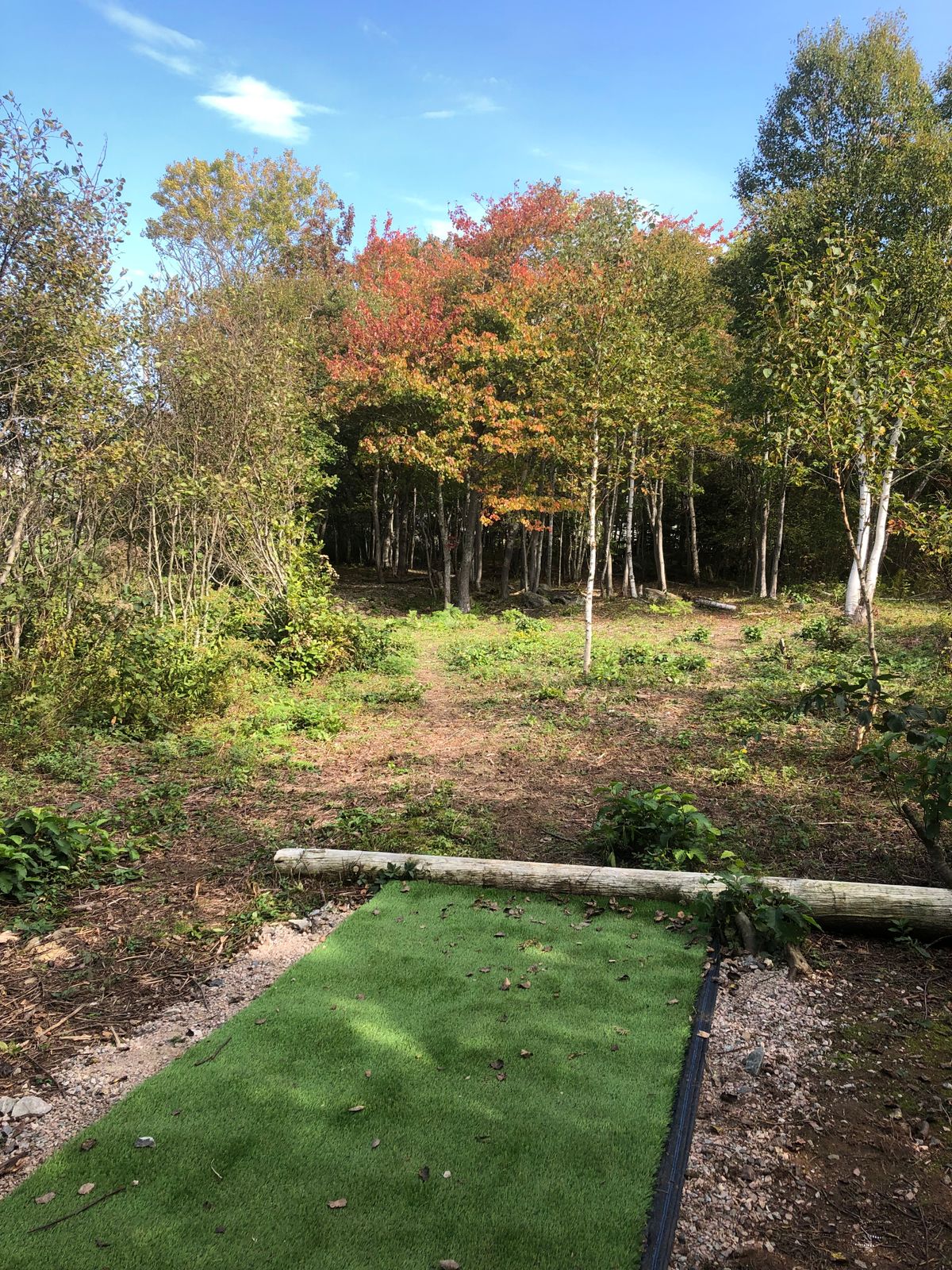 Tee pad Hole 4 Oct 7 21