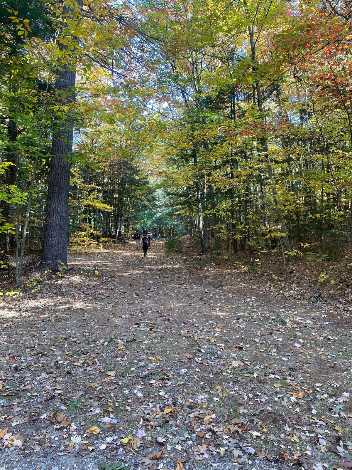 Hole 9