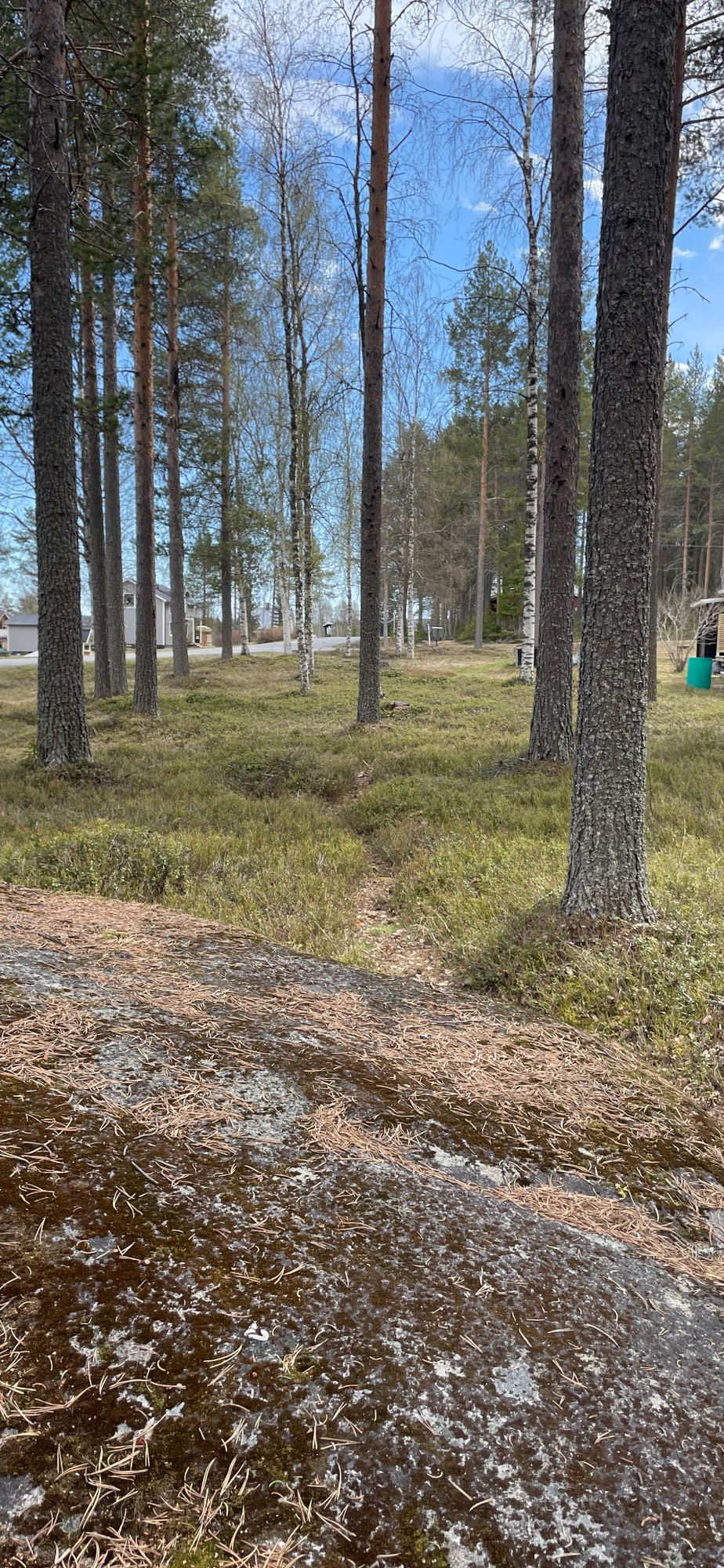 Hål 7, tee on a big rock.