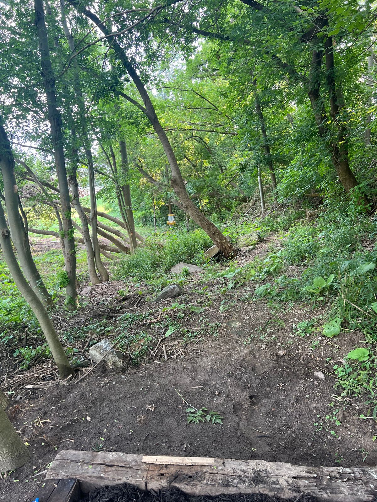 Hole 1 fairway