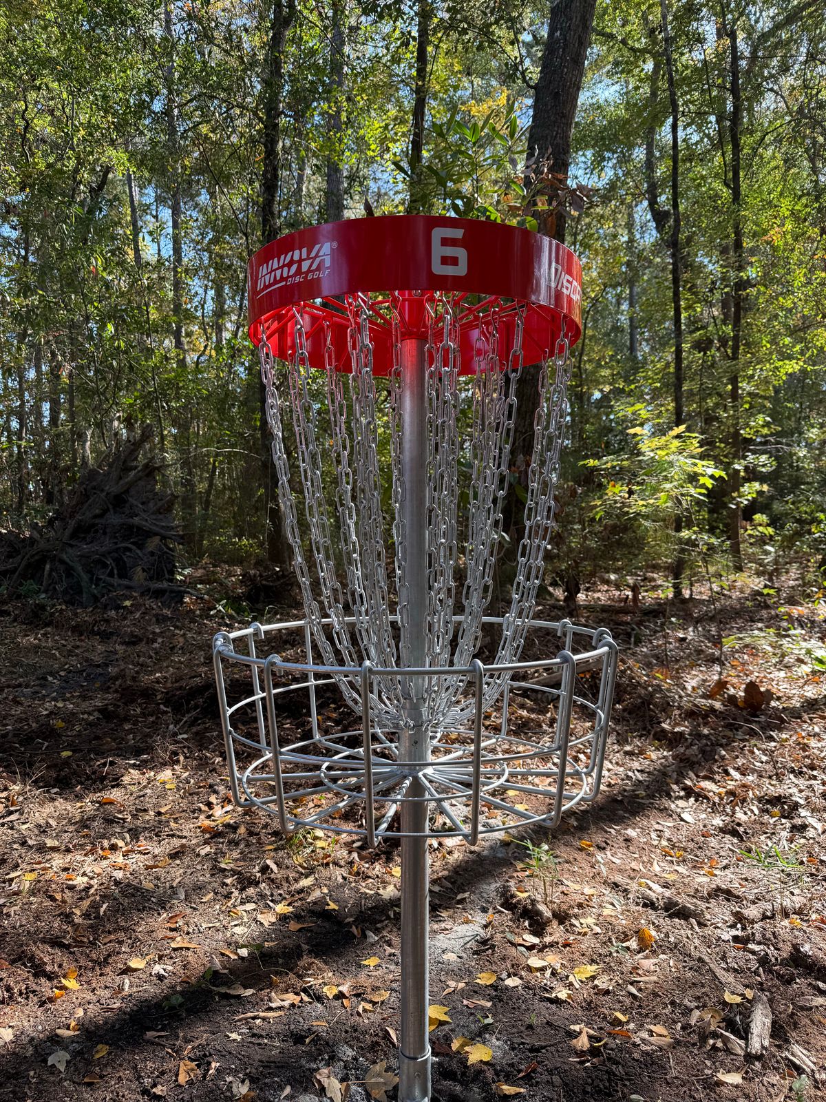 Hole 6 basket