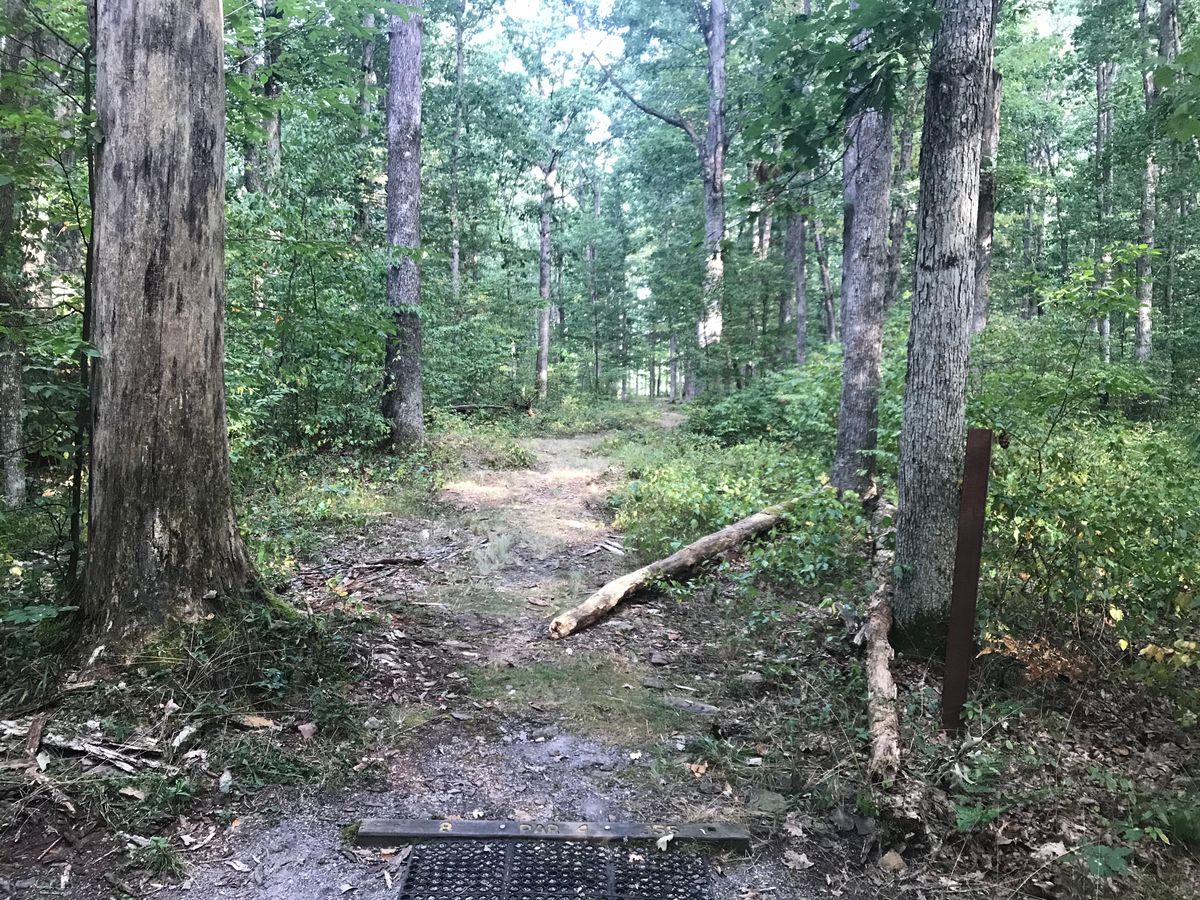 #8 red/original tee
Par 4