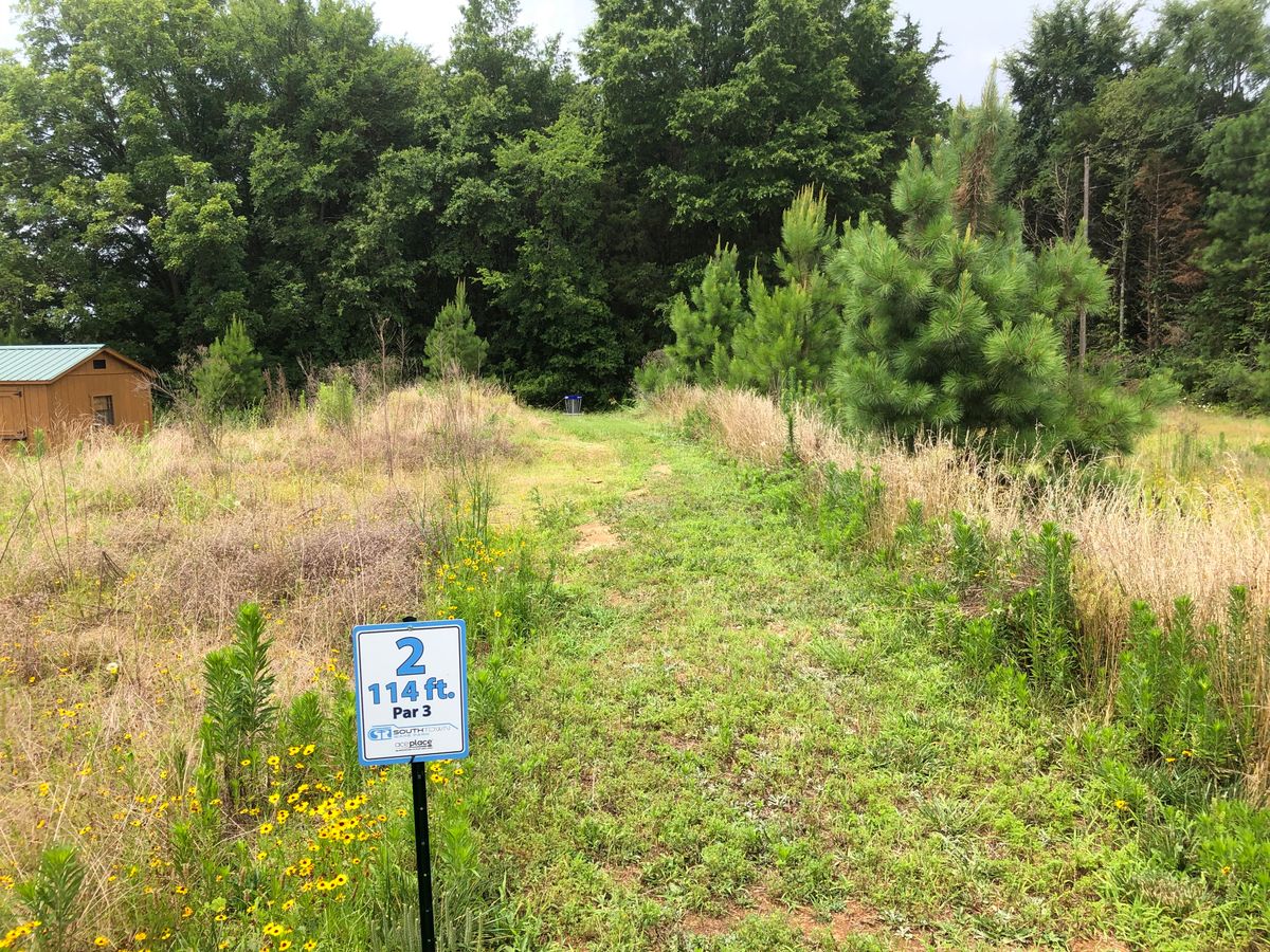 Hole 2 tee