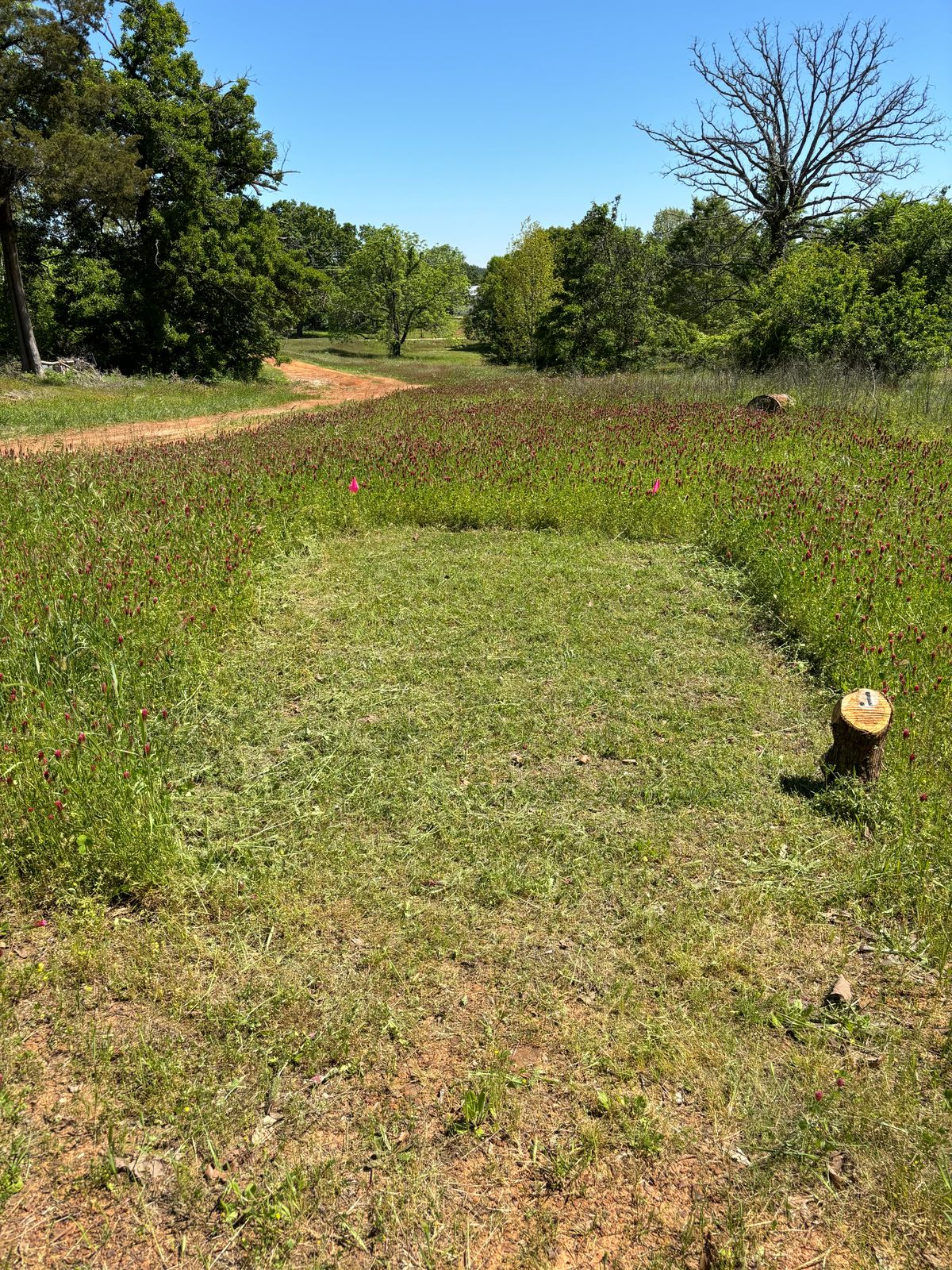 Tee Pad 1