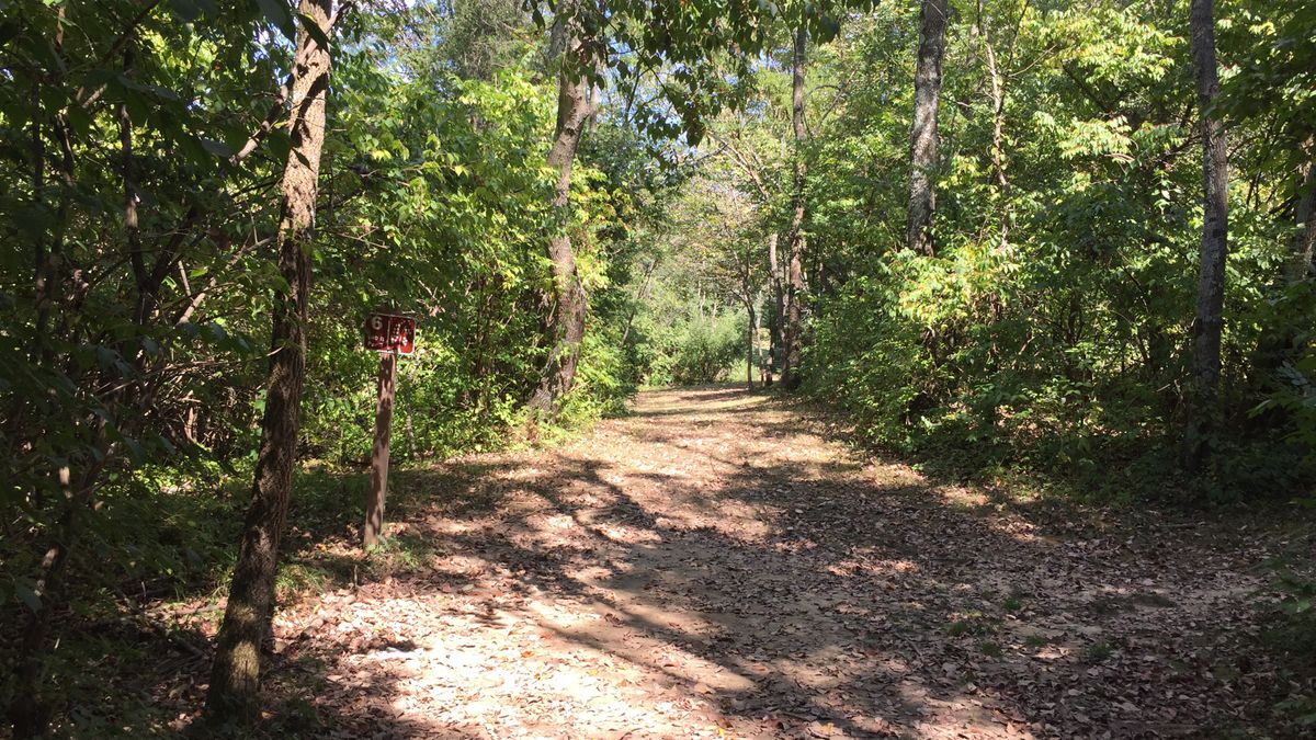 Hole 6