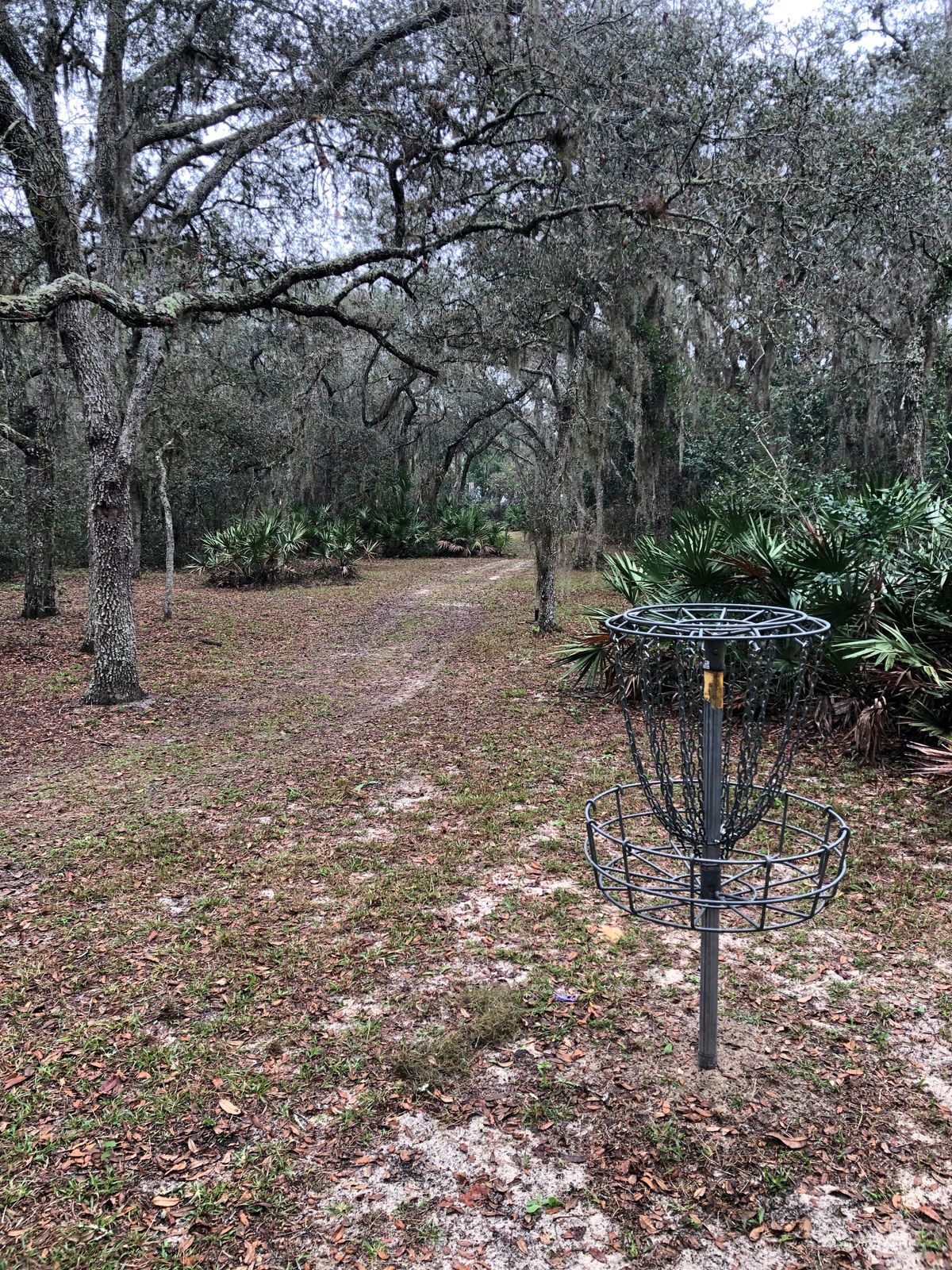 Hole 17 reverse  fairway view