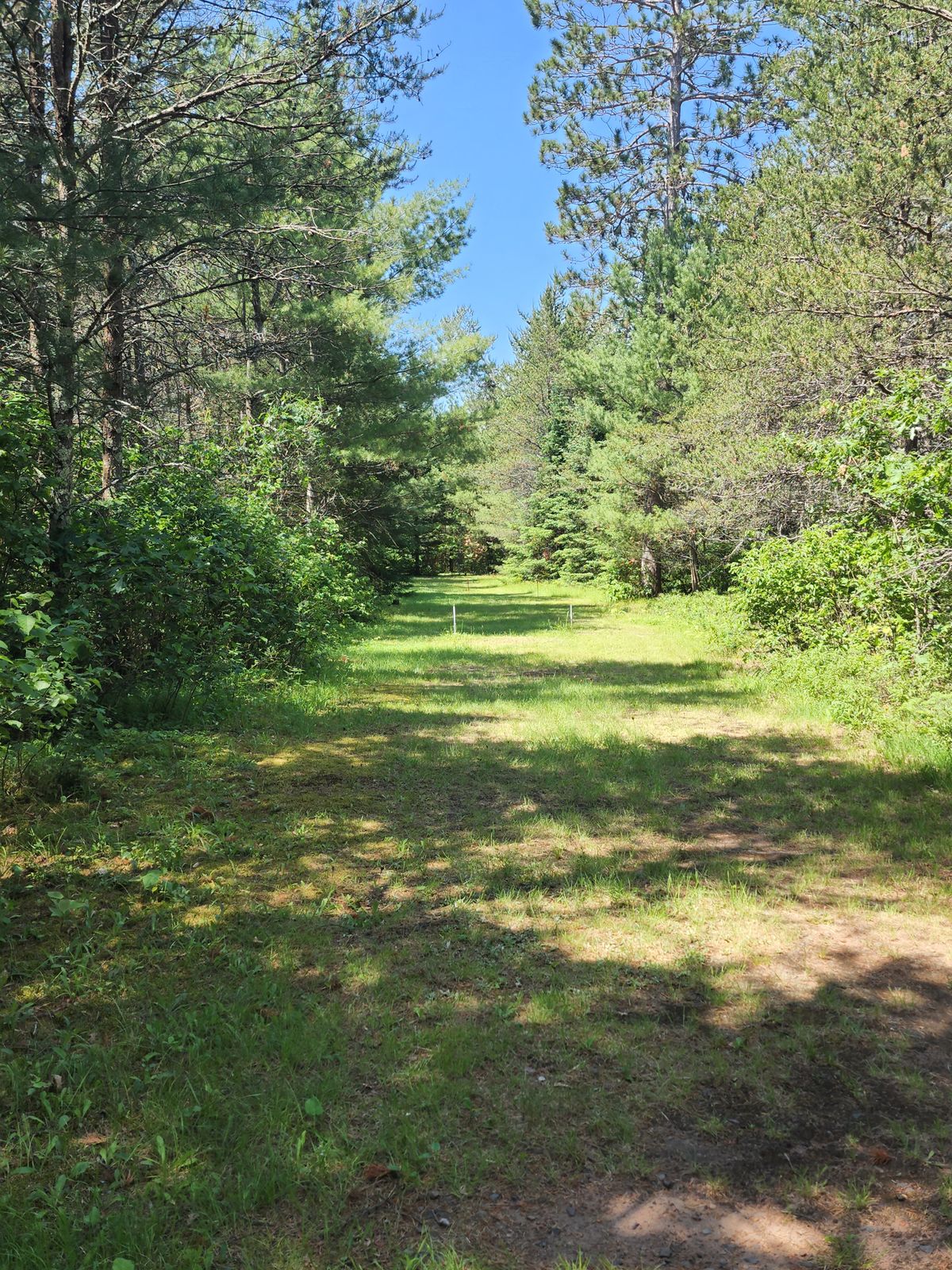 Hole 15 Overview