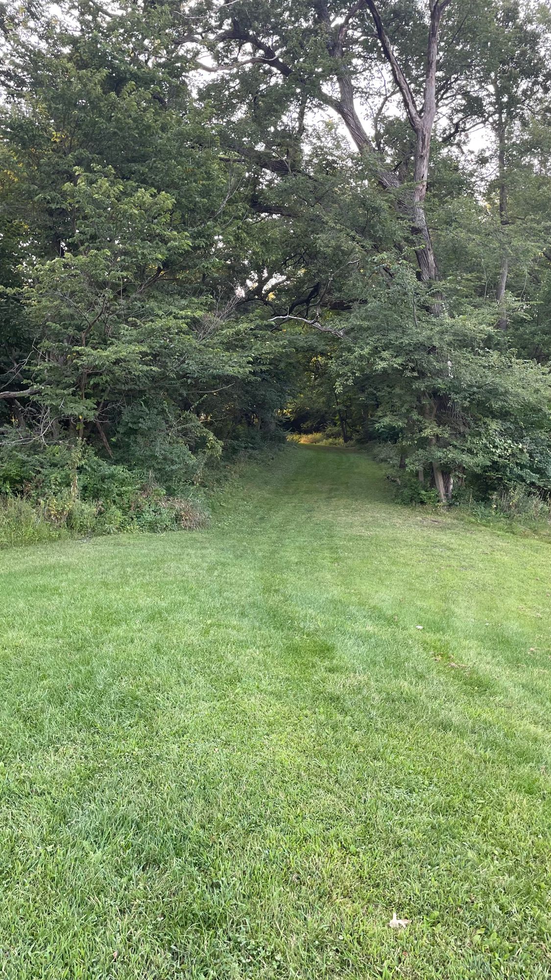 Hole 6 dog leg to the left