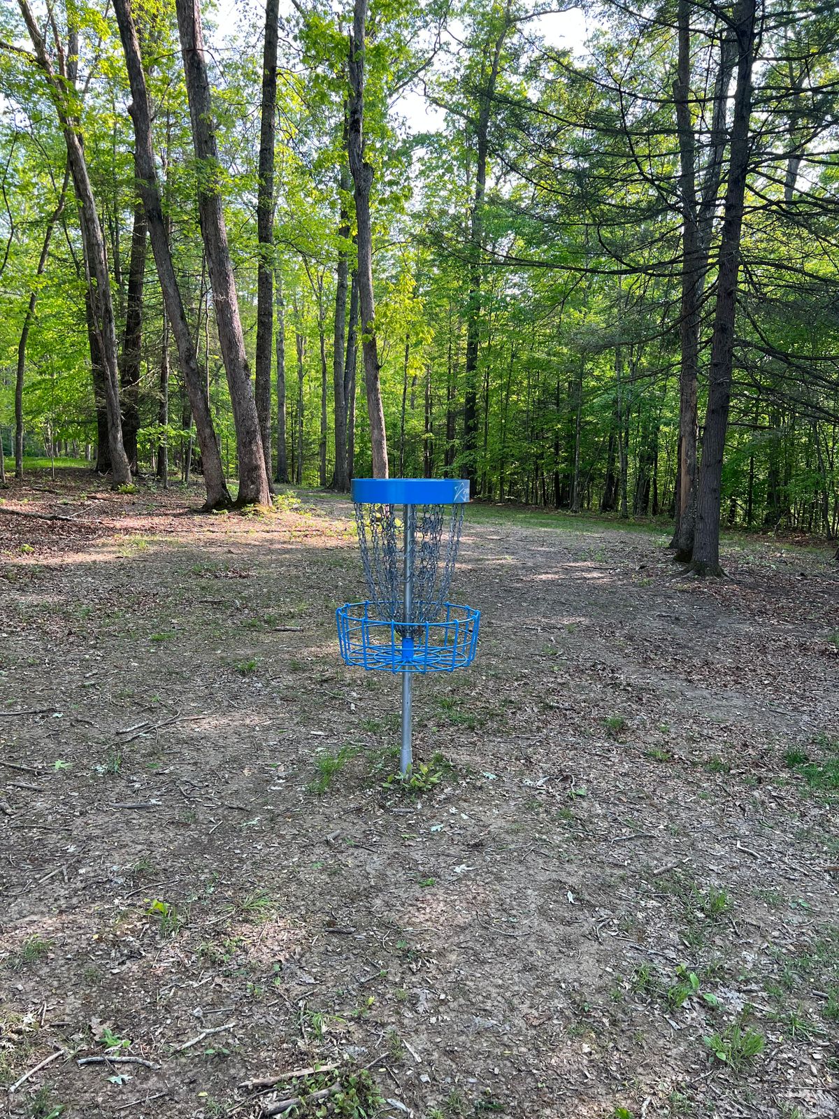 Hole 16 Basket to Tee
