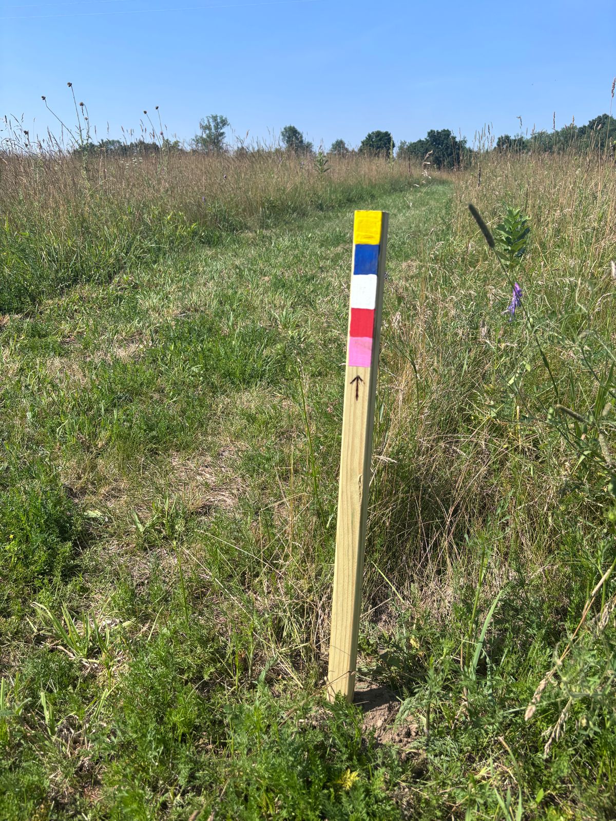 Next hole directions for all 5 sets of tees (gold, blue, white, red, and pink).