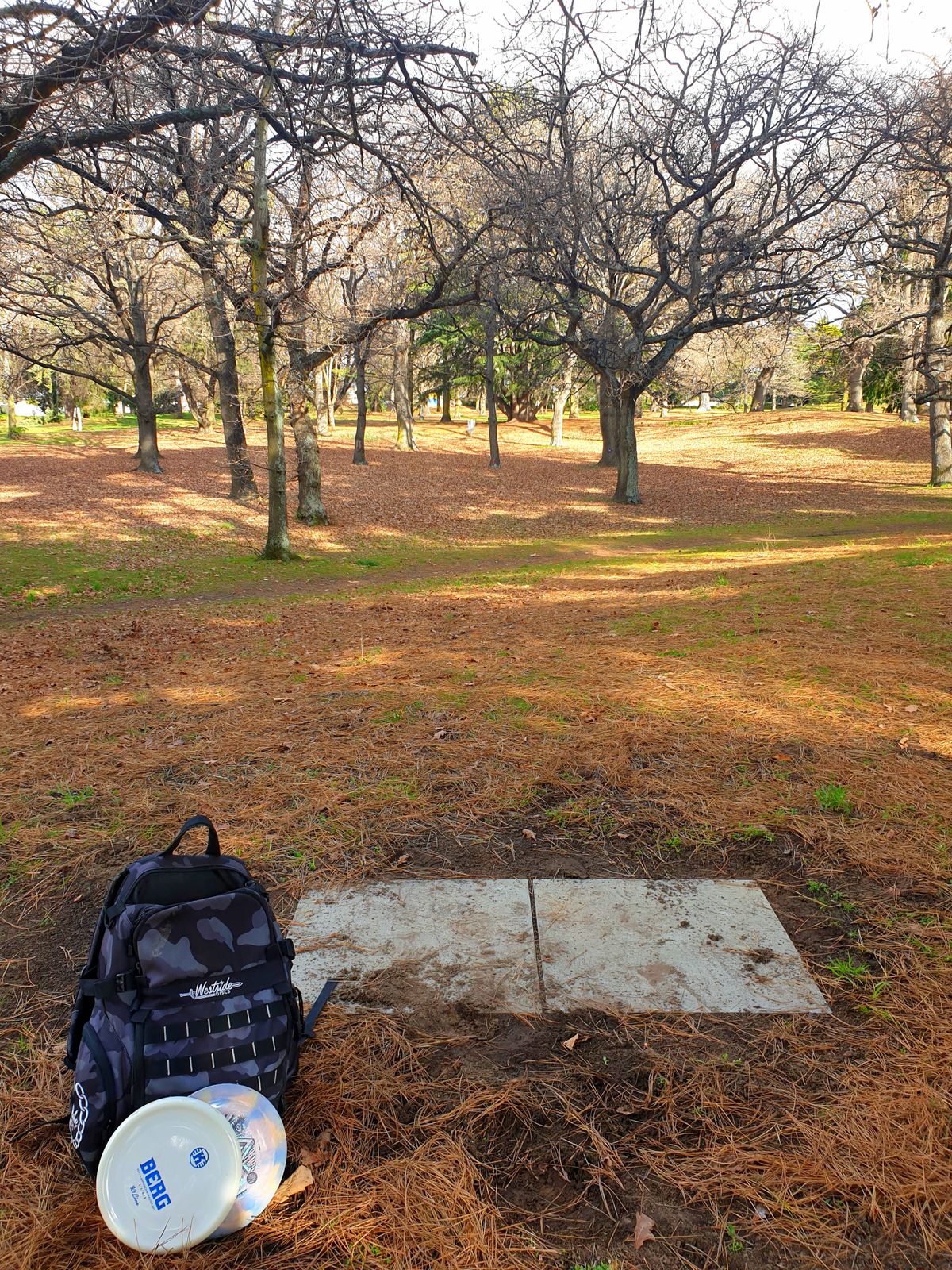 Hole 2 tee pad. Thick layer of leaves so watch your disc 