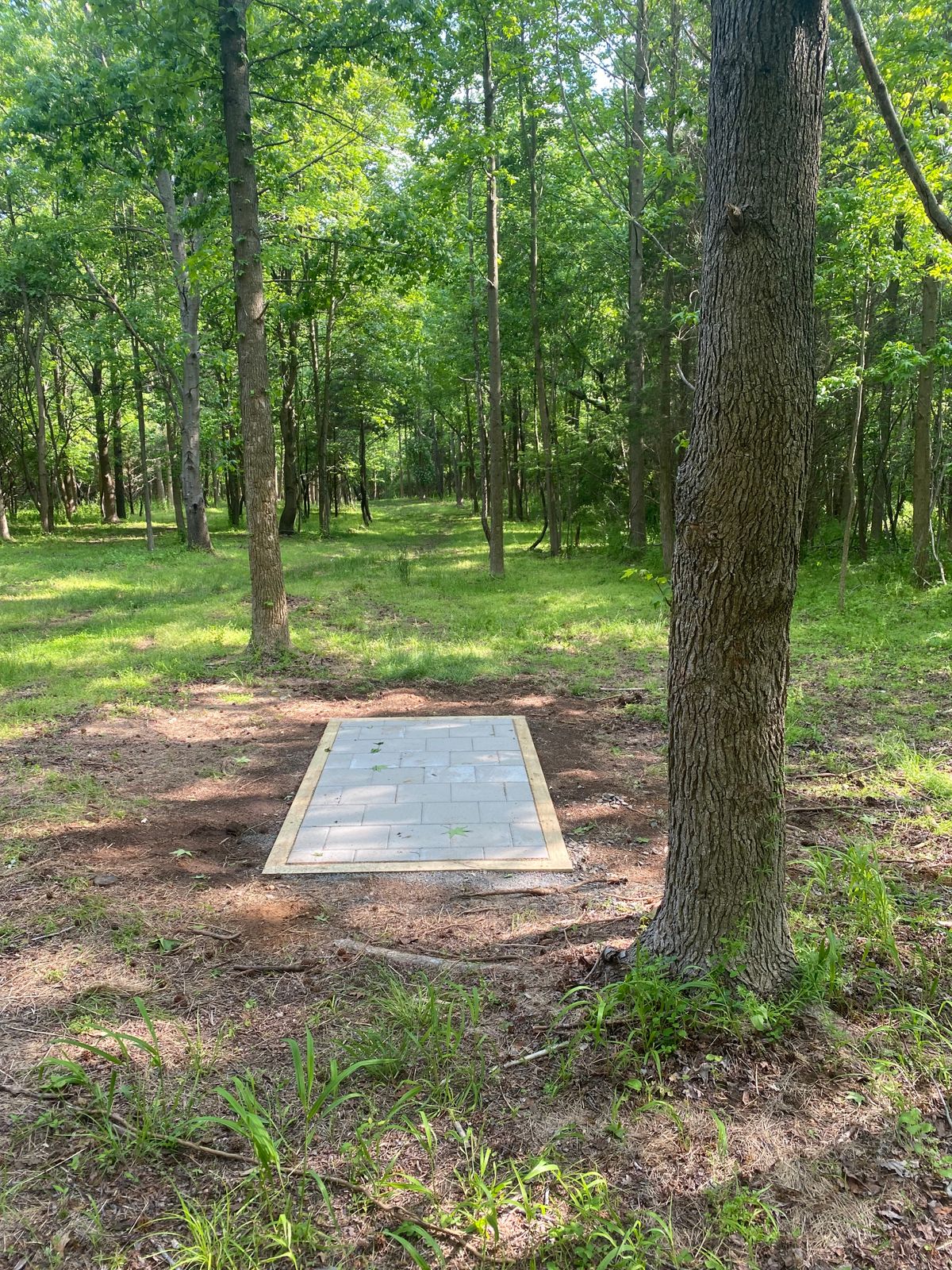 Hole 12 Alt layout tee