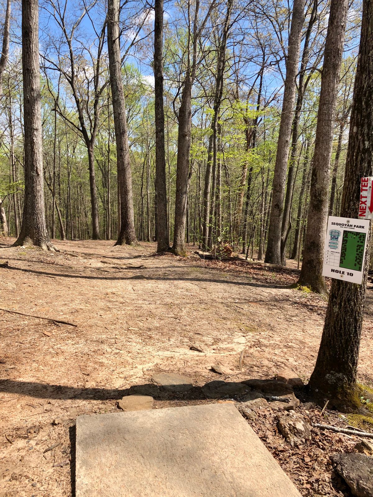 Tee 10