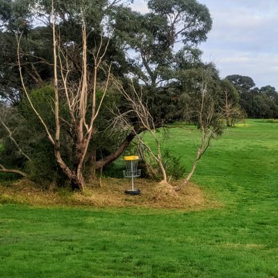 Looking back at Hole 2/11