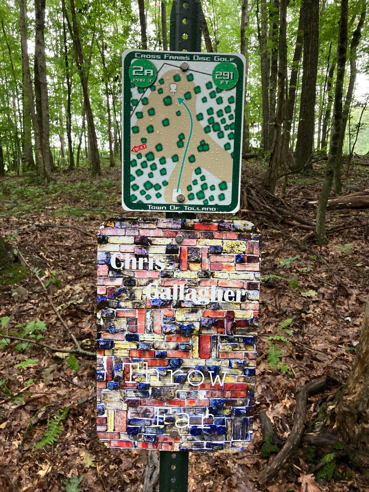 Hole 2A