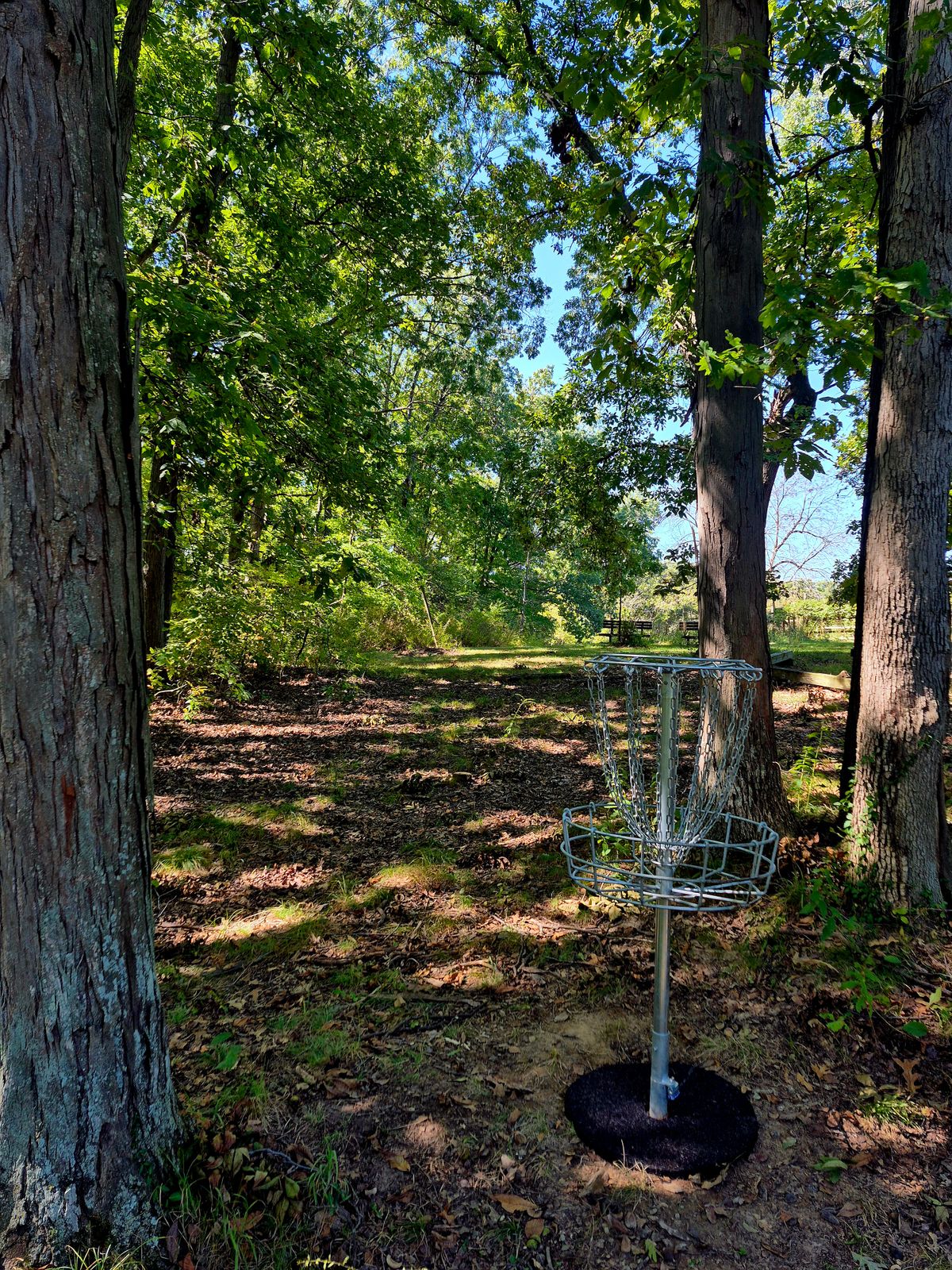Hole 3
Basket to Tee