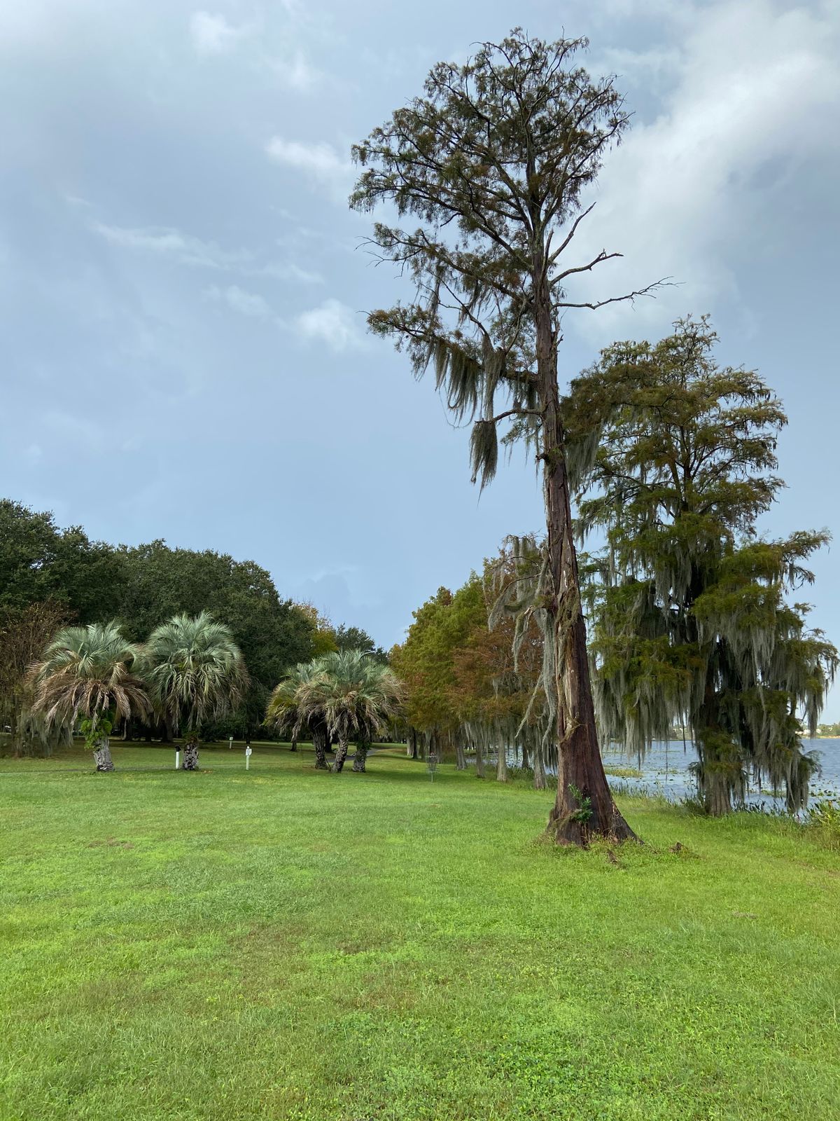 Hole 5
