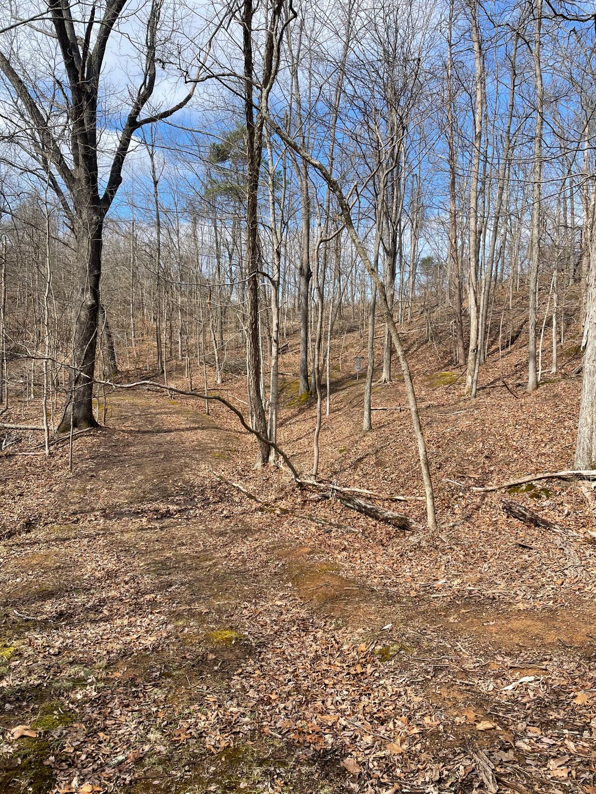 Hole 6 (Green)
