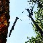 User avatar image