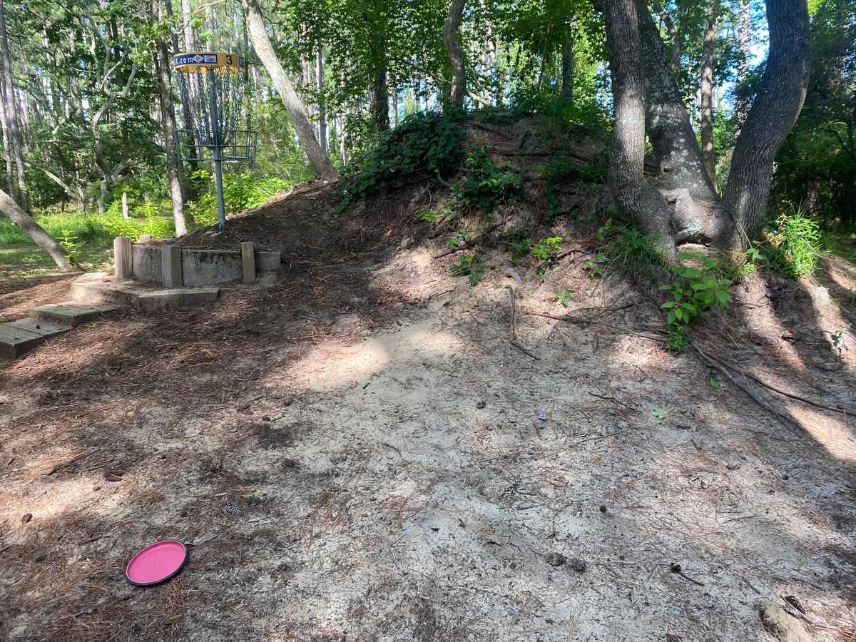 Hole 3 Short basket