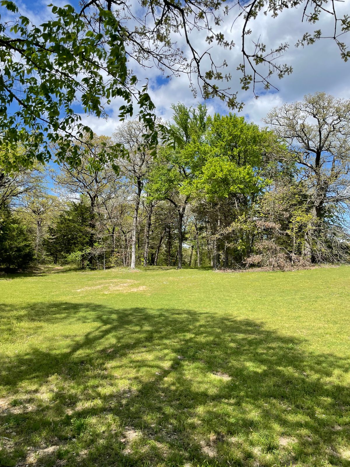 #2 short tee