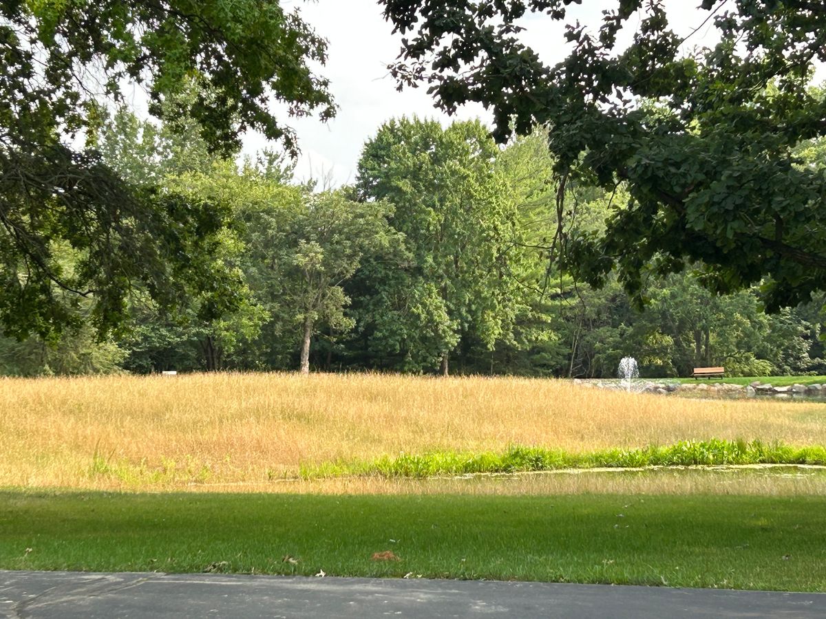 Hole 1 features a mound, a double pond & tall grasses. You can barely see the band on the left.