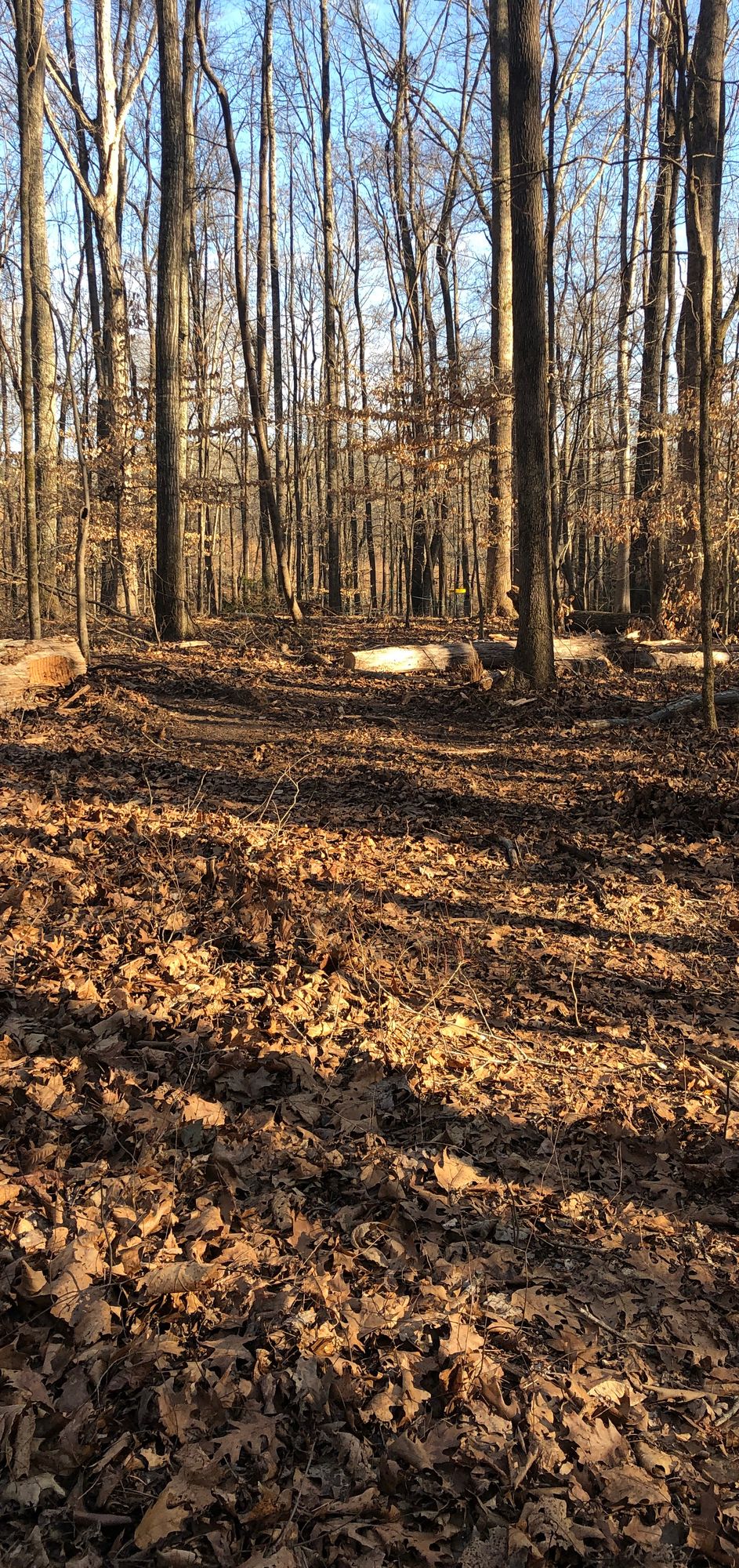Hole 7 Left side route
