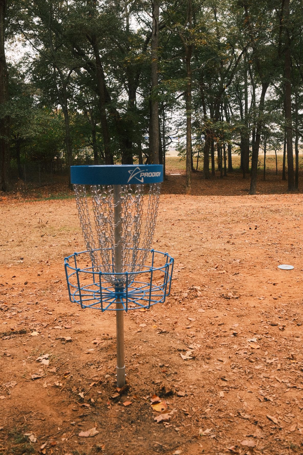 #8 basket looking at tee