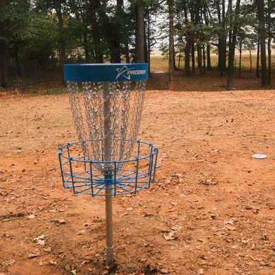 #8 basket looking at tee