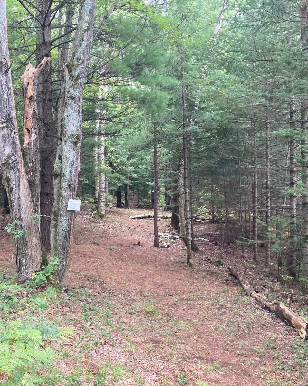 Fairway Hole #9