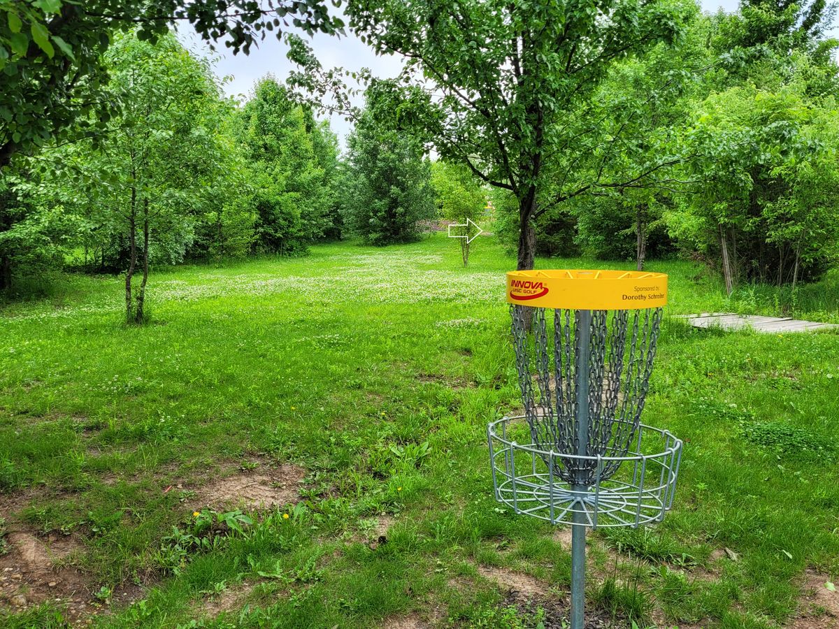 Hole 12 main basket to tee
