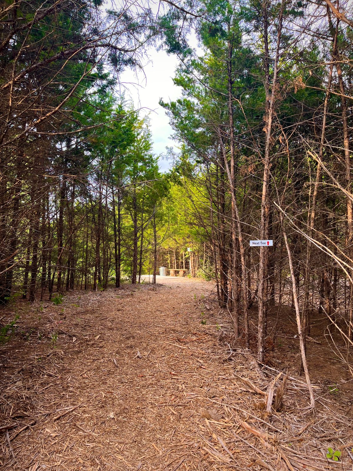 Walkway between holes