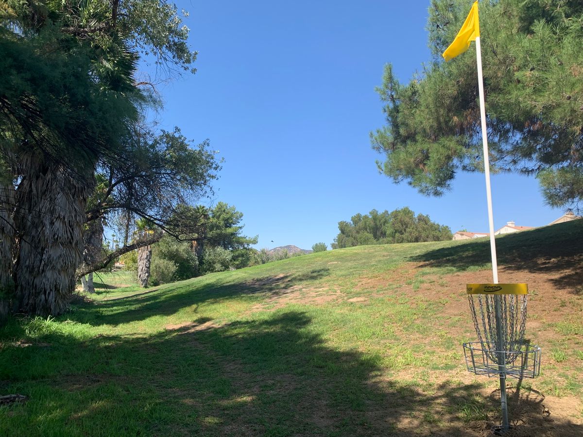 Alpha Hole 8 Basket