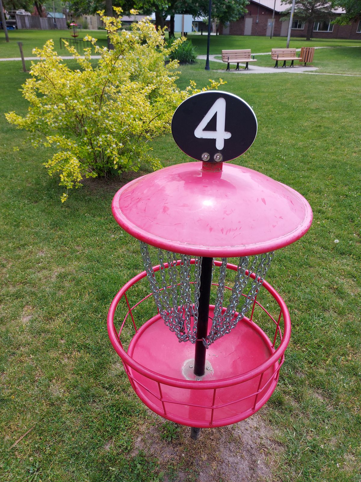 Basket 4 🍁🍂🍁🍂🍁