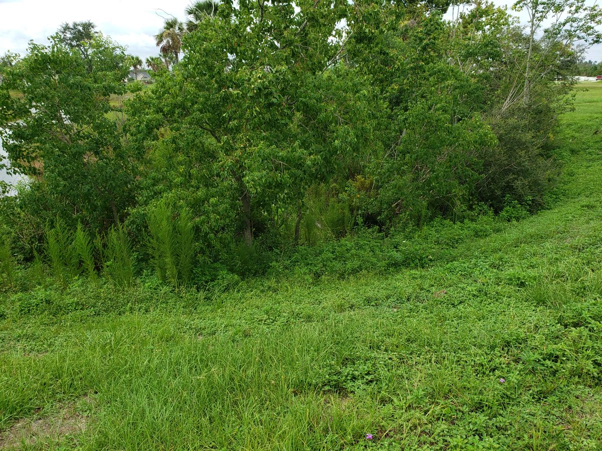 Showing the overgrowth