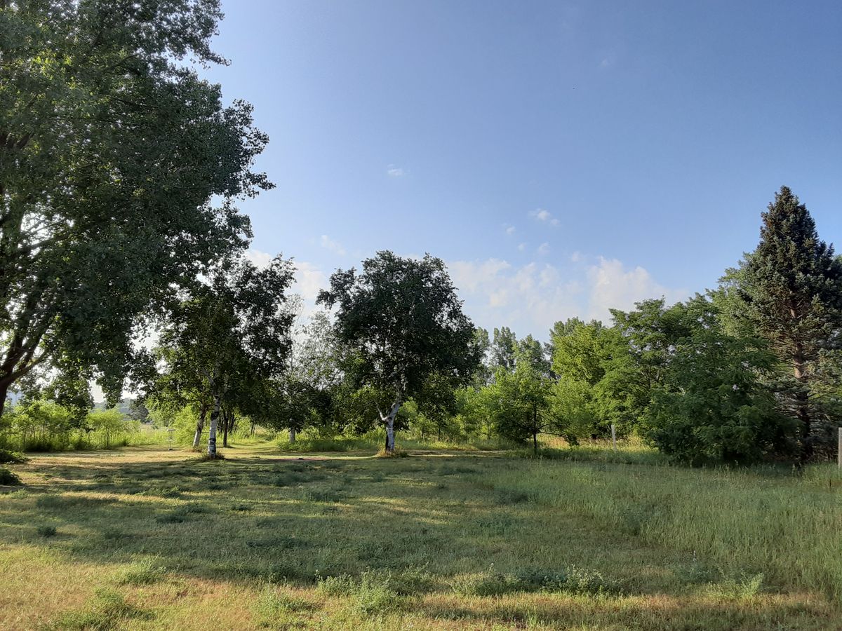 Morning on the fairway of hole 7.