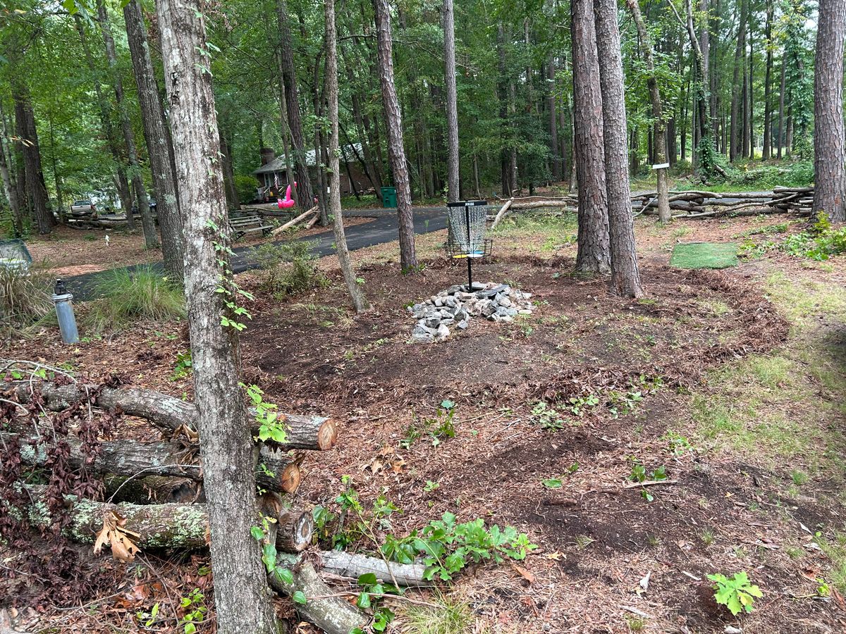 Hole 5 short