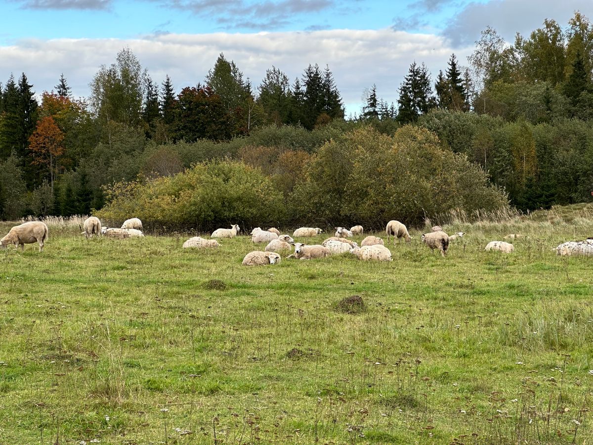 Course photo
