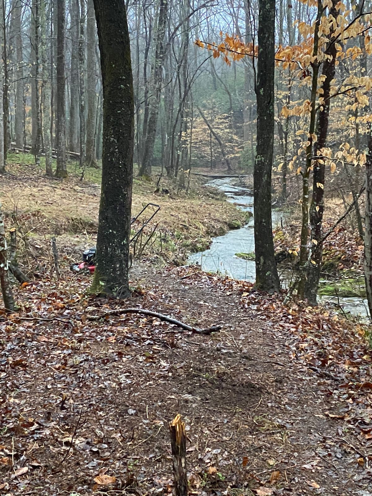 Creek fairway