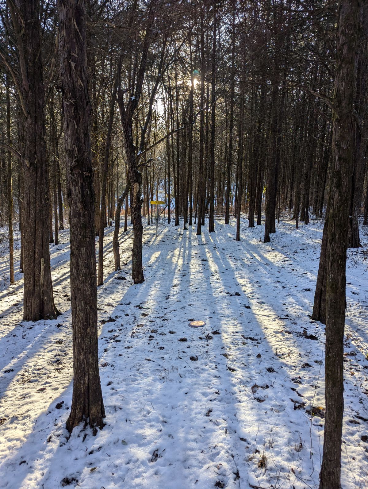 Hole 4 on a December afternoon.