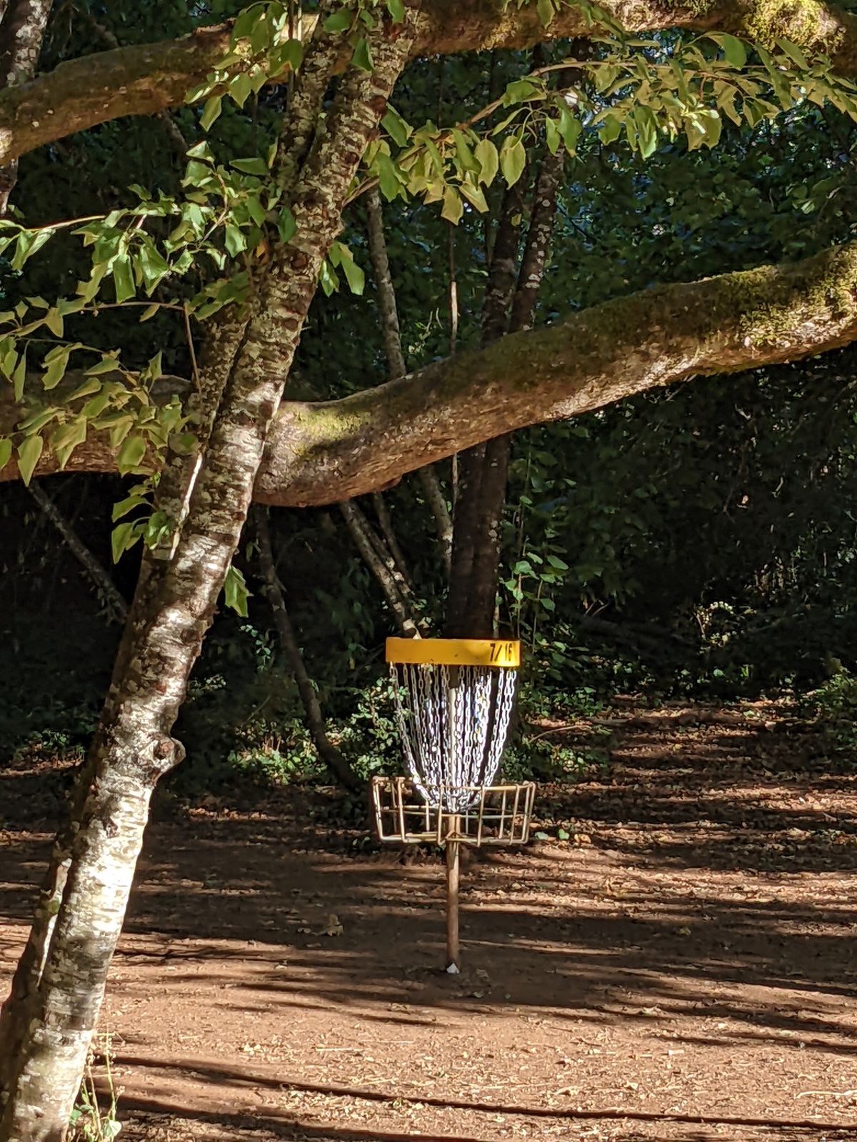 Hole 7
