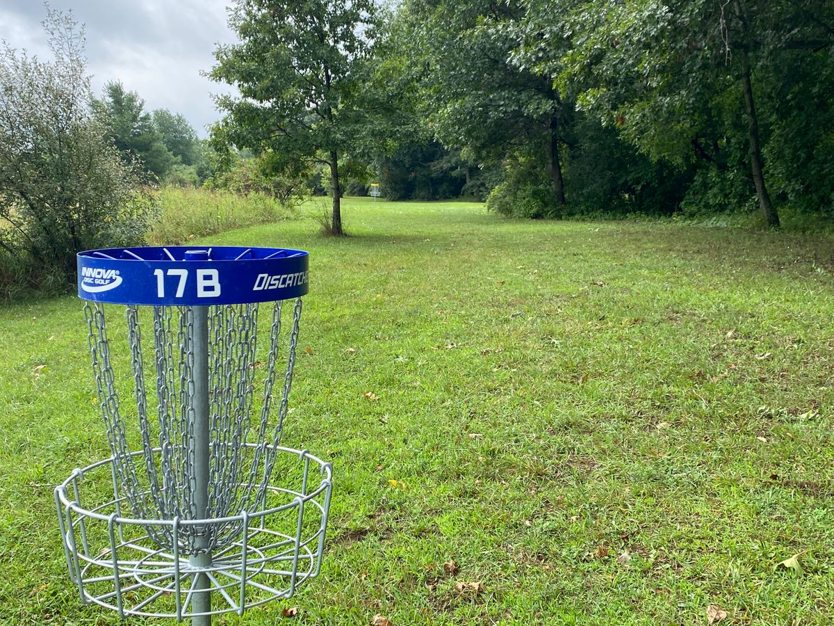 Hole 17 basket B looking back to basket A