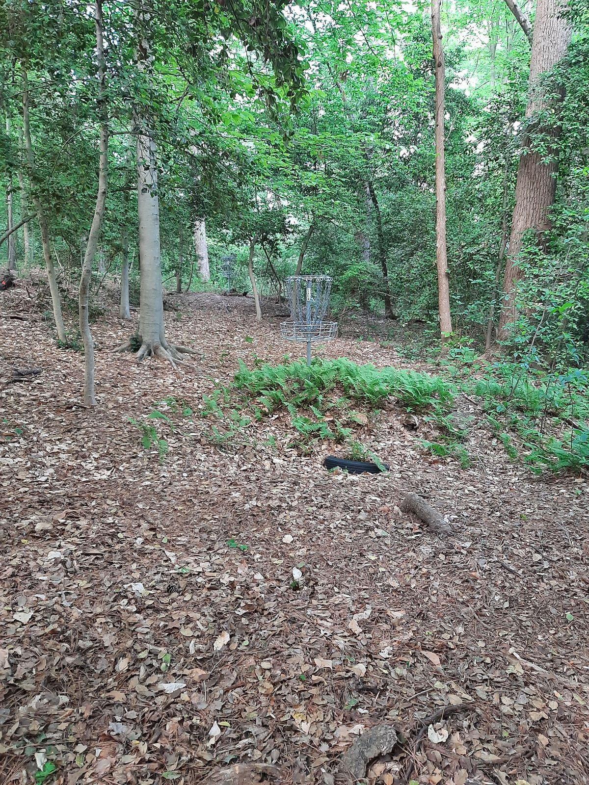 Hole 10 Green A Pin