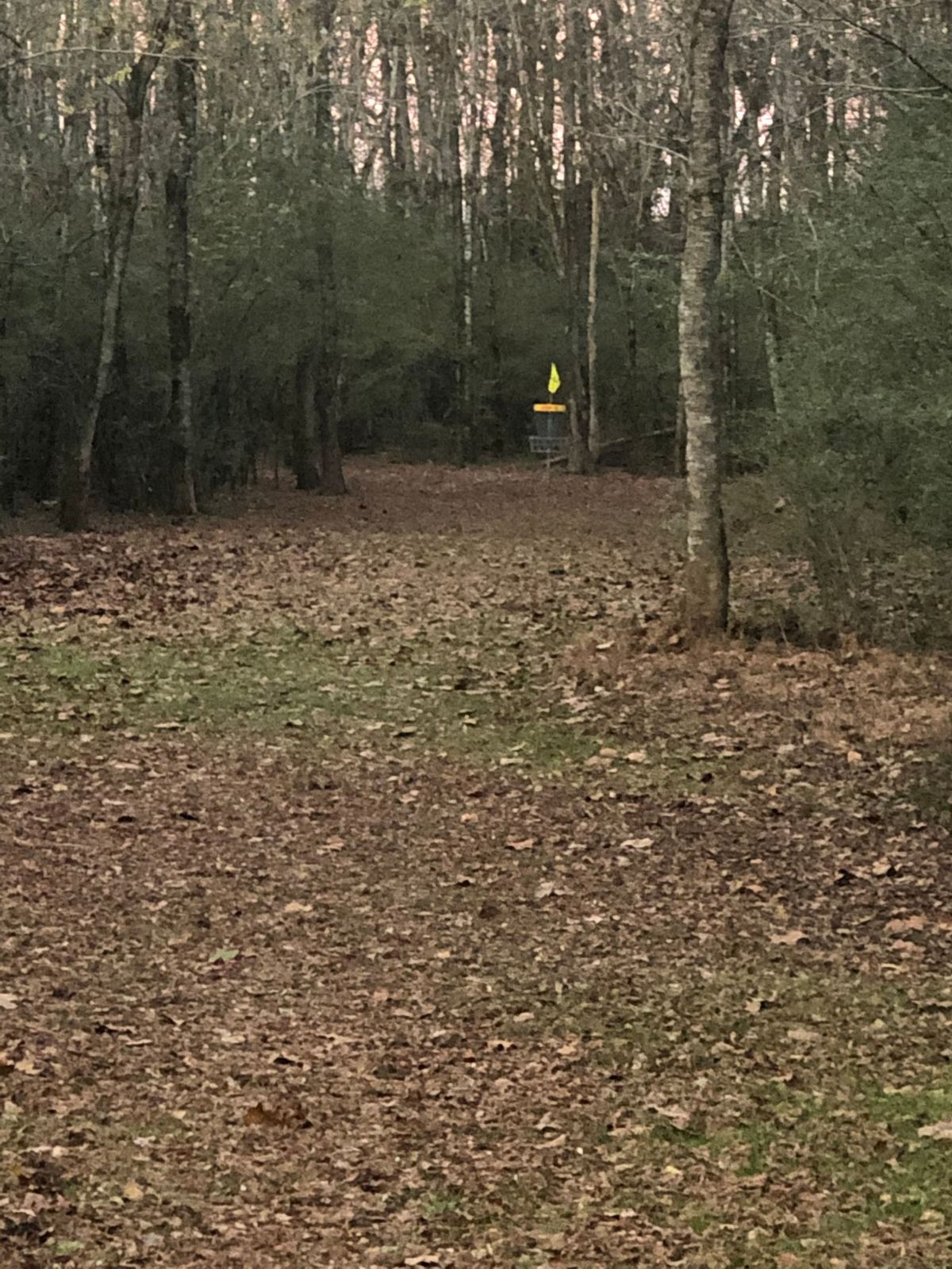 Hole 3