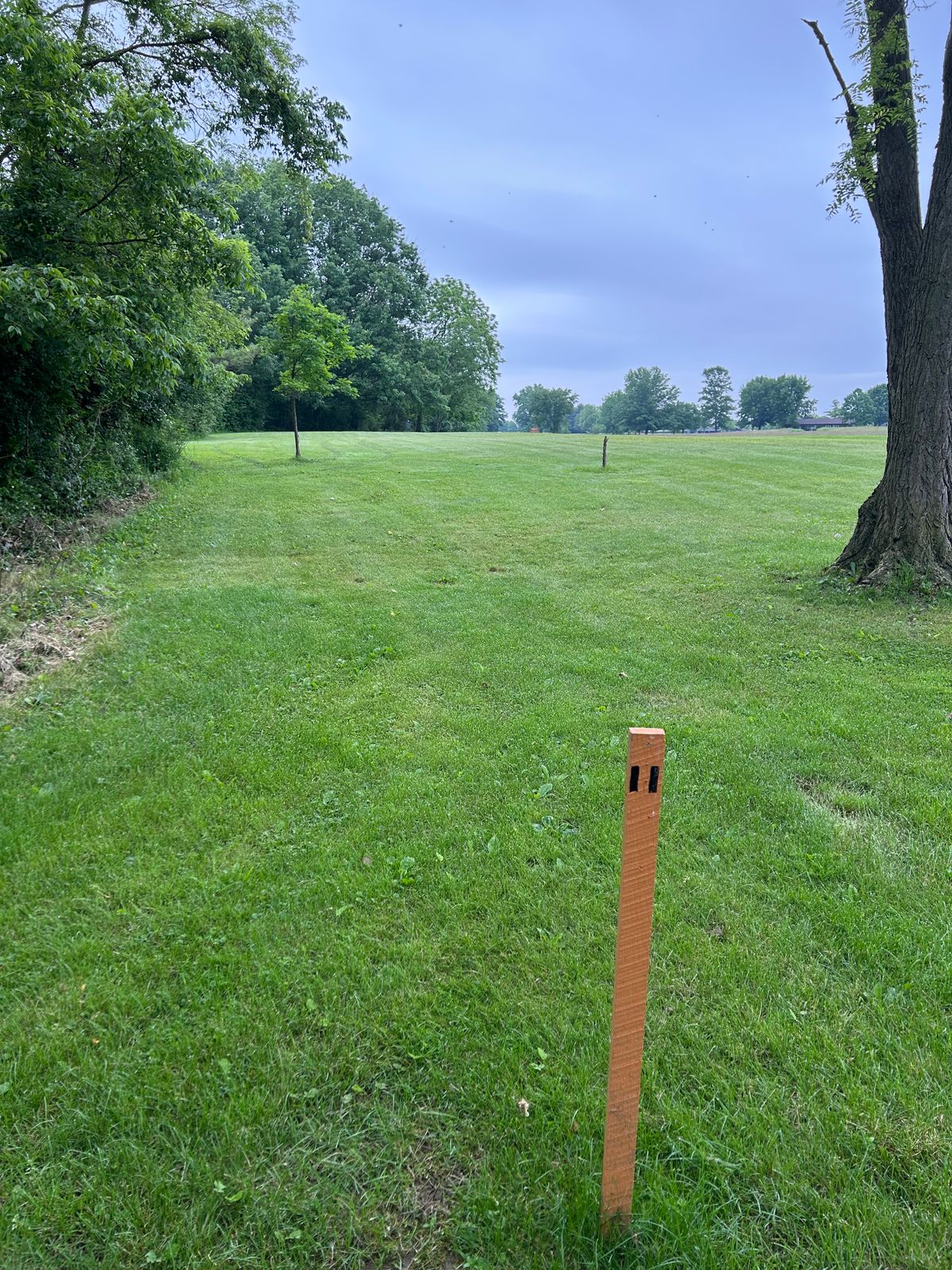 Hole 11 tee