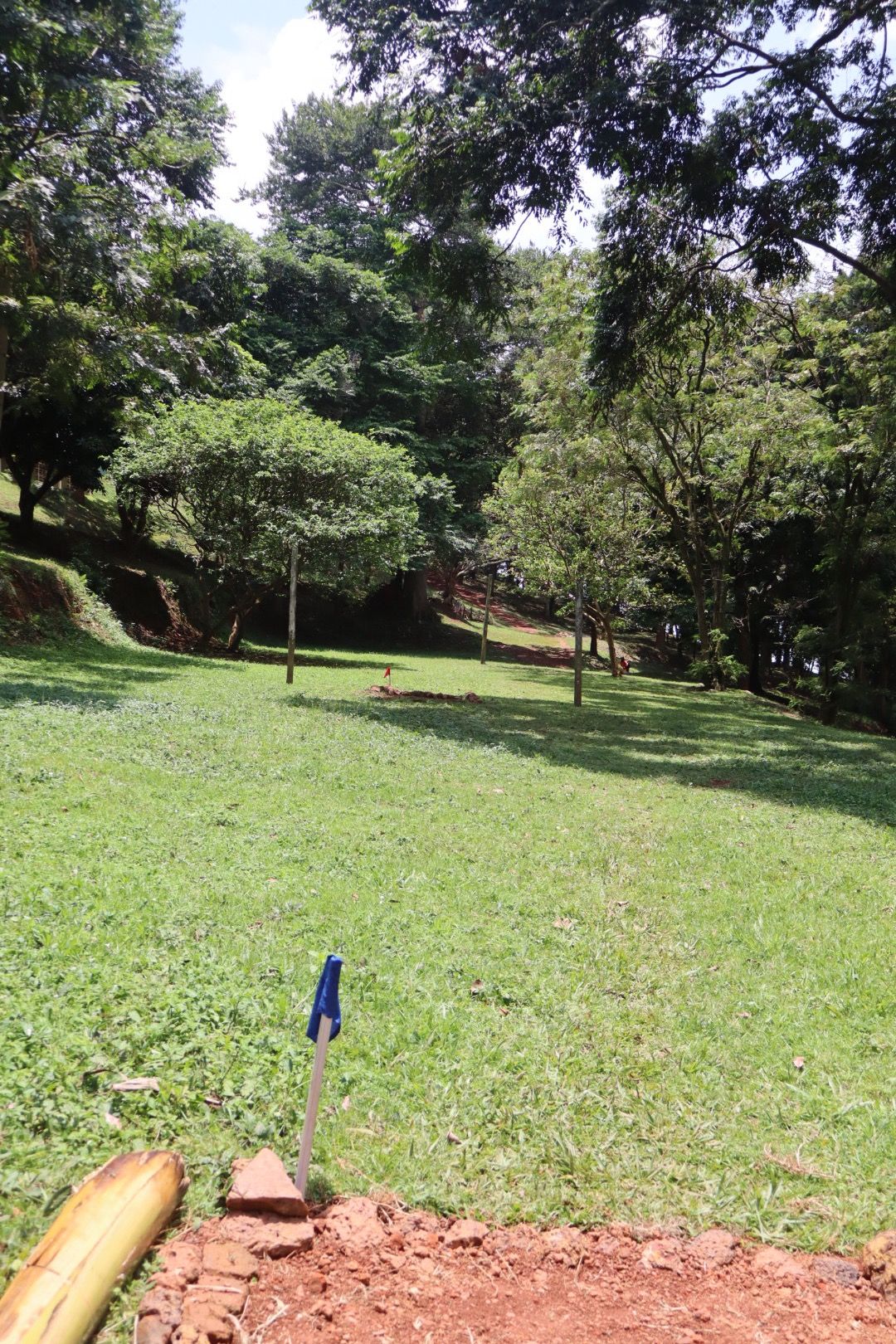 Hole 5 long tee