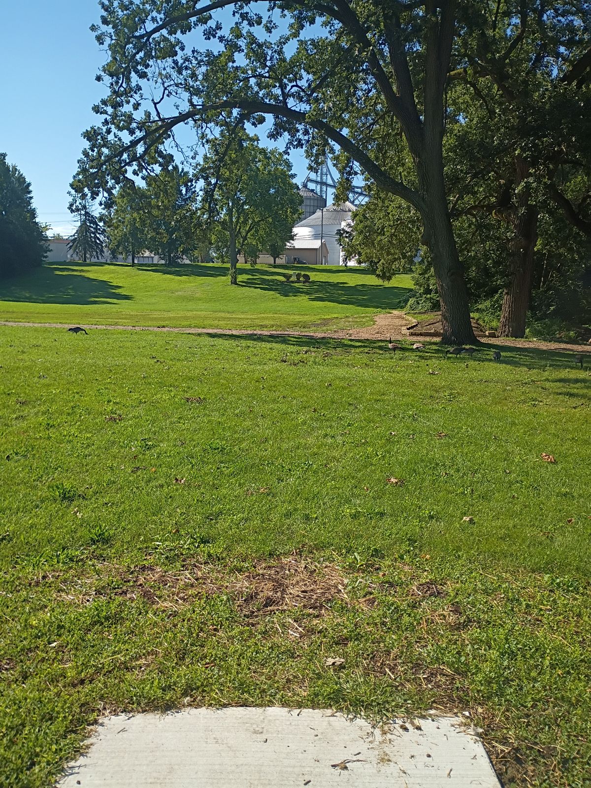 Tee 8