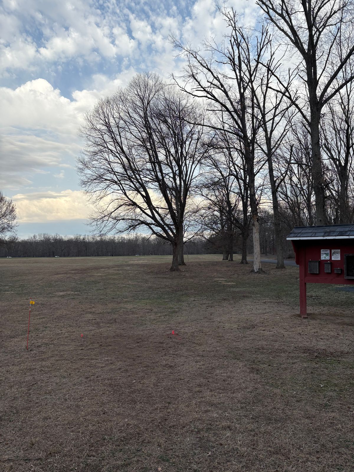 Proposed hole 1 is about 50 feet back and to the left of the old tee pad