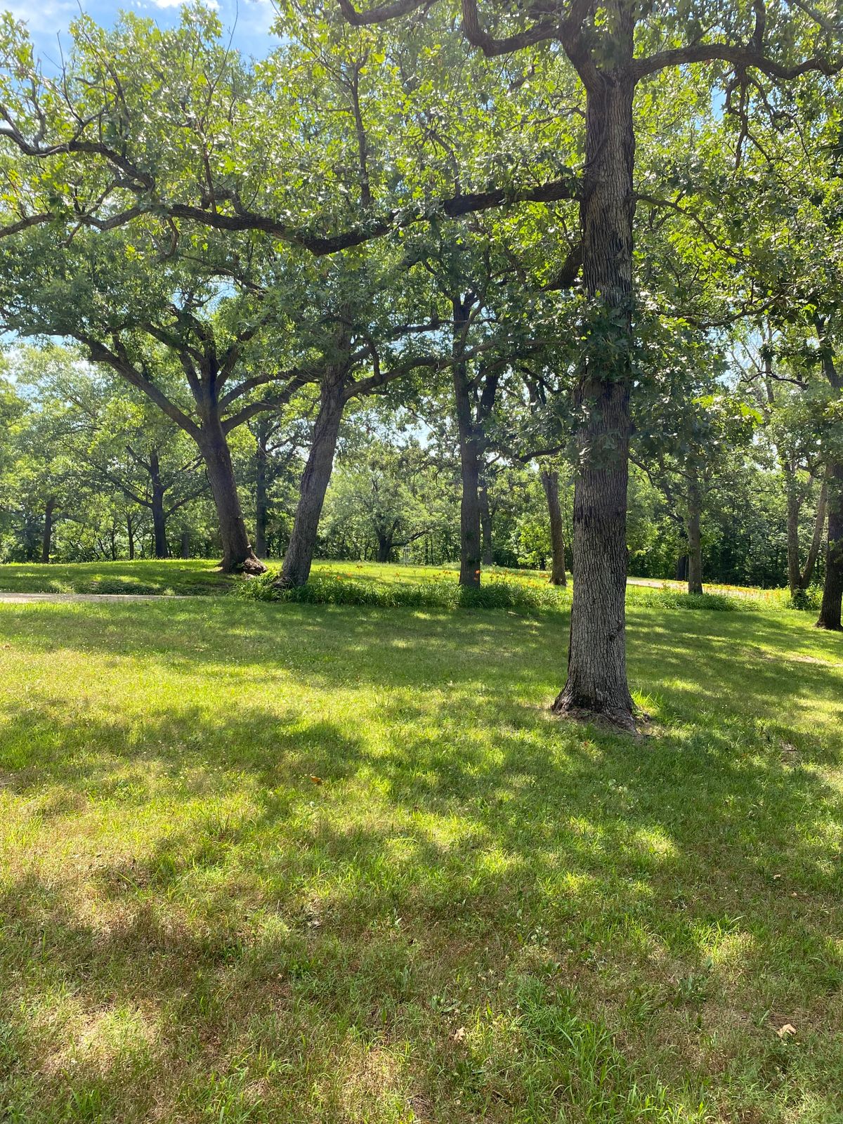Hole 7A Mid-Fairway